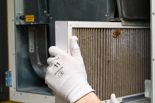 Best Affordable Air Duct Cleaning  in Pinetops, NC