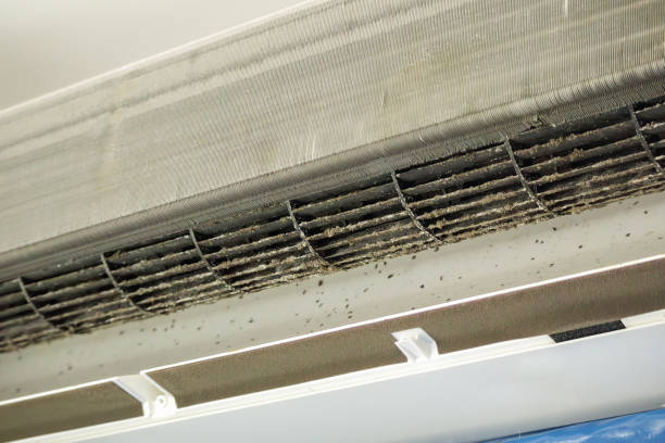 Best HVAC Duct Inspection Services  in Pinetops, NC